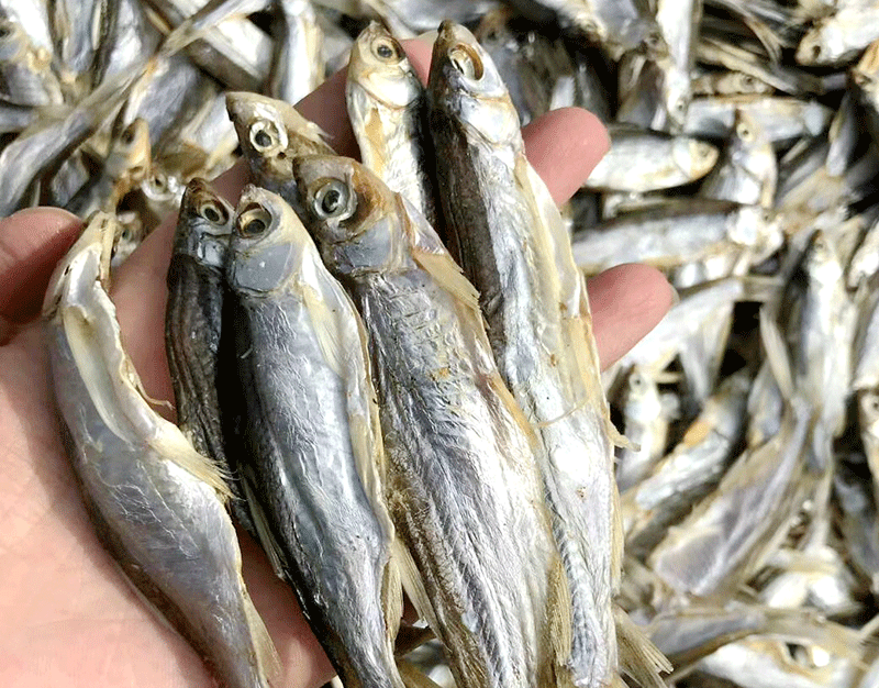 風(fēng)干小魚(yú)