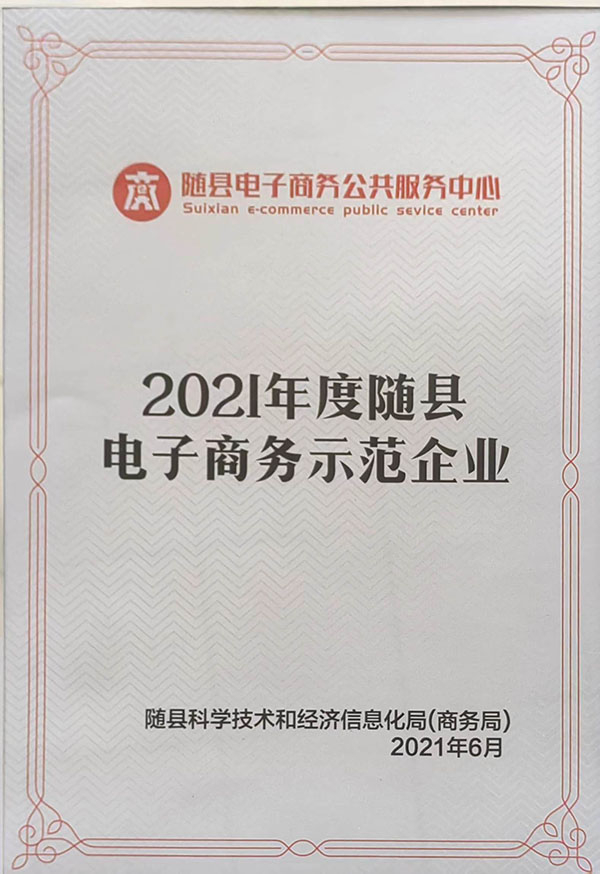 2021年度隨縣電子商務(wù)示范企業(yè)