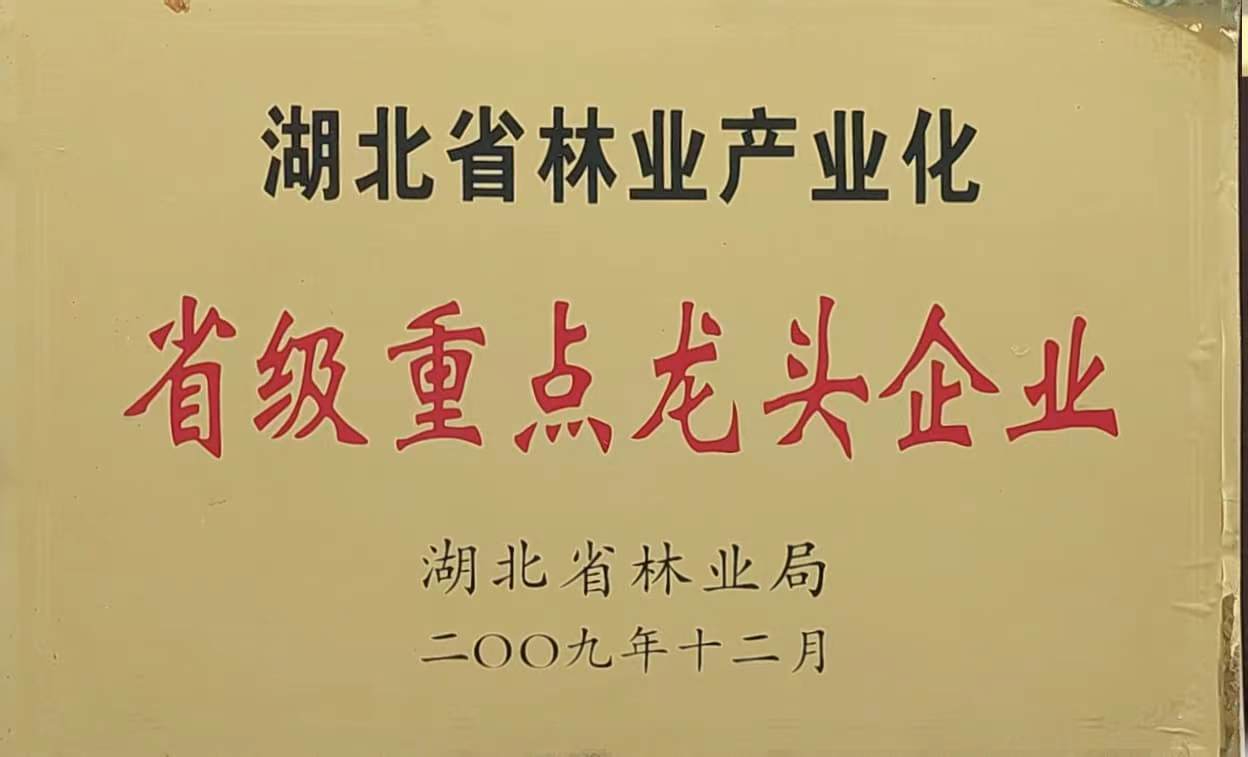 省林業(yè)產(chǎn)業(yè)化重點(diǎn)龍頭企業(yè)（2009）