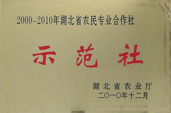 農(nóng)民專(zhuān)業(yè)合作社示范社（2010.12）.jpg